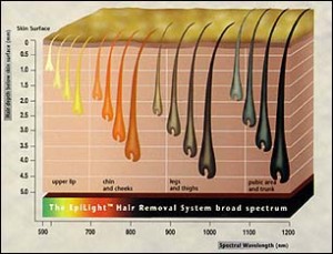 un_hair_chart